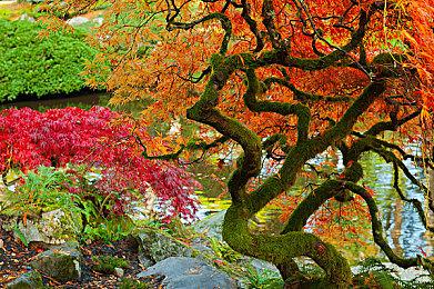 泰国武侠新作《燃烧之剑》新视频 试玩Demo已上线