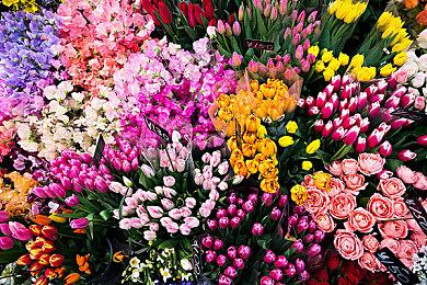 《超侦探事件簿：雾雨迷宫》DLC第二弹上线 新角色登场